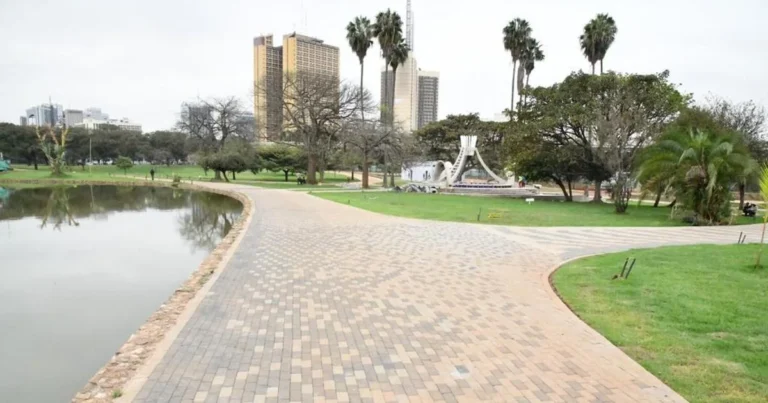 Green Belt Movement opposes reported plan to excise Uhuru, Central Parks for highway expansion