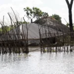 Nearly 86,000 households hit as floods tighten grip across Kenya in 41 counties