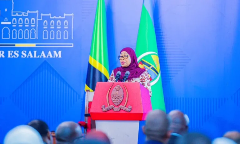Tanzania, Namibia agree to expand cooperation in trade, energy and blue economy