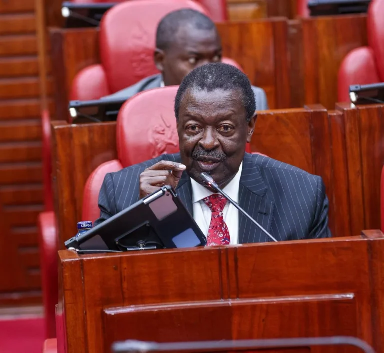 Mudavadi briefs Senate on South Sudan crash as DNA delays slow repatriation of Kenyan victim