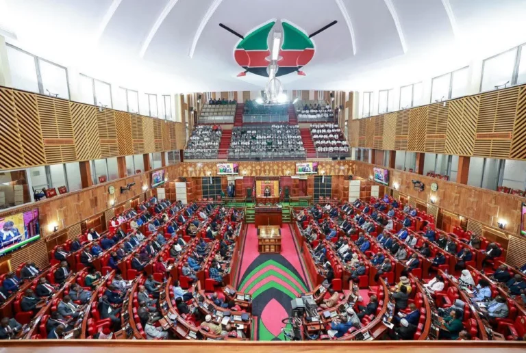 MPs pass Kenyan Sign Language Bill, create new council for deaf accessibility