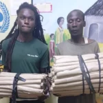 Police arrest two suspected cannabis traffickers in Migori’s Suna West