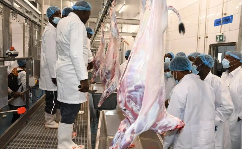 Isiolo’s Sh1bn export abattoir ready to open after 17-year delay