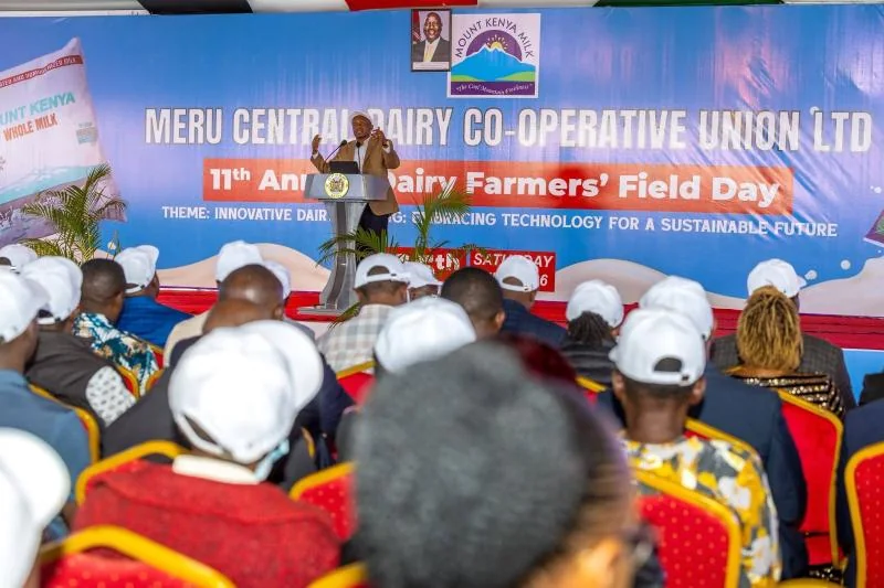 Meru cooperatives seek Sh2.2bn bailout to clear debts and boost farmers