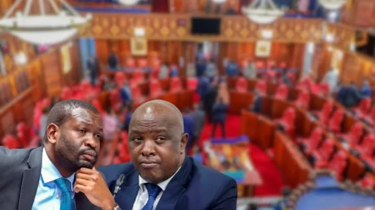 What Sifuna and Osotsi lose in Senate committee shake-up