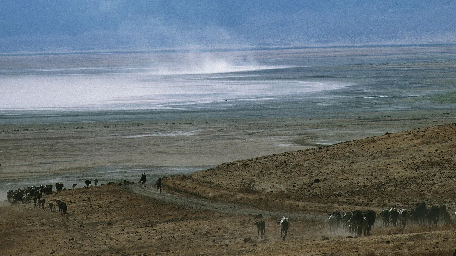 Three Tanzanian park rangers arrested after man dies in Ngorongoro