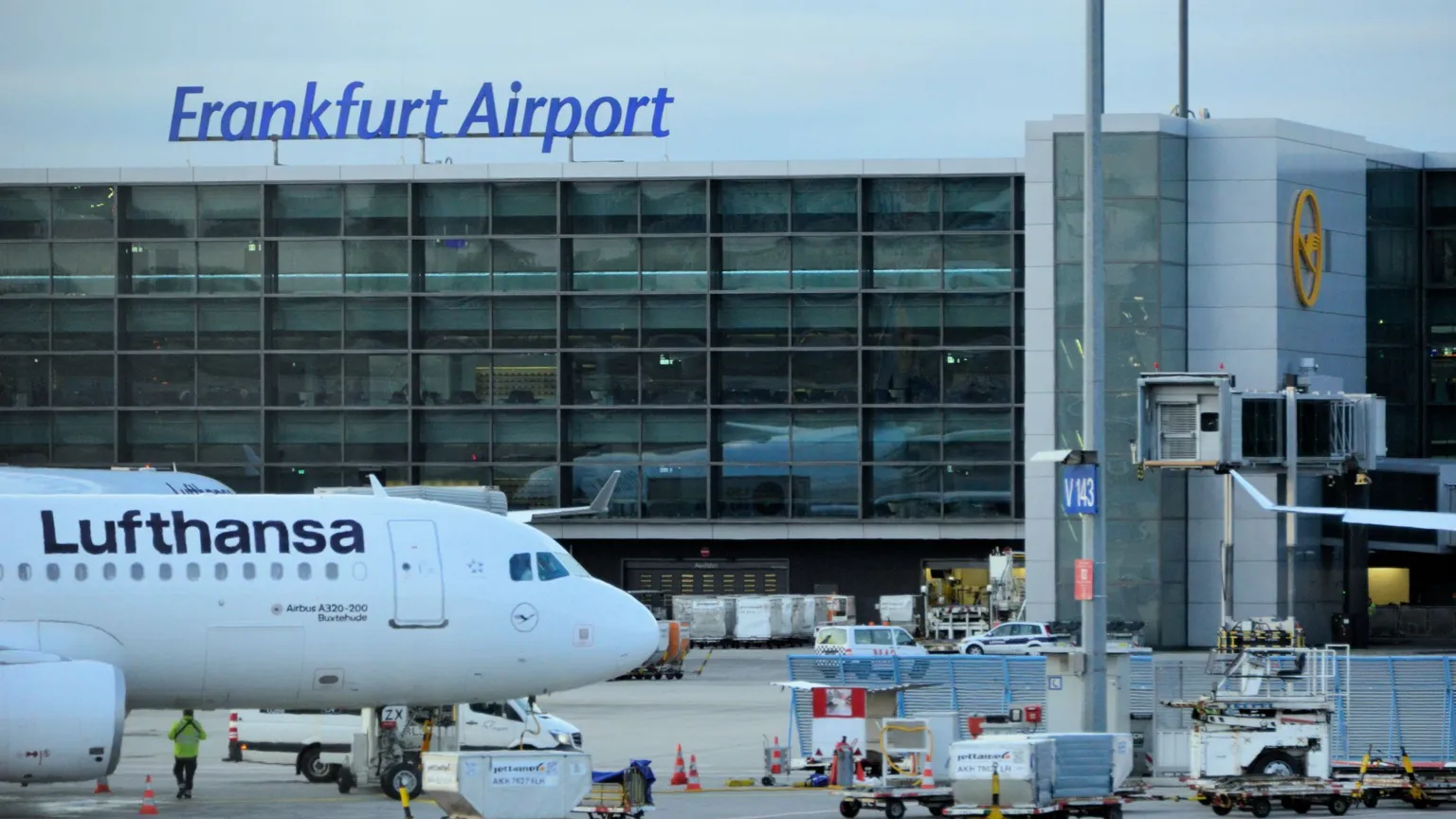 Frankfurt Airport worker dies of malaria after rare outbrea