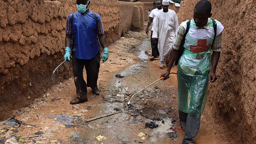 Cholera outbreak kills 28, infects more than 1,000 in northern Cameroon