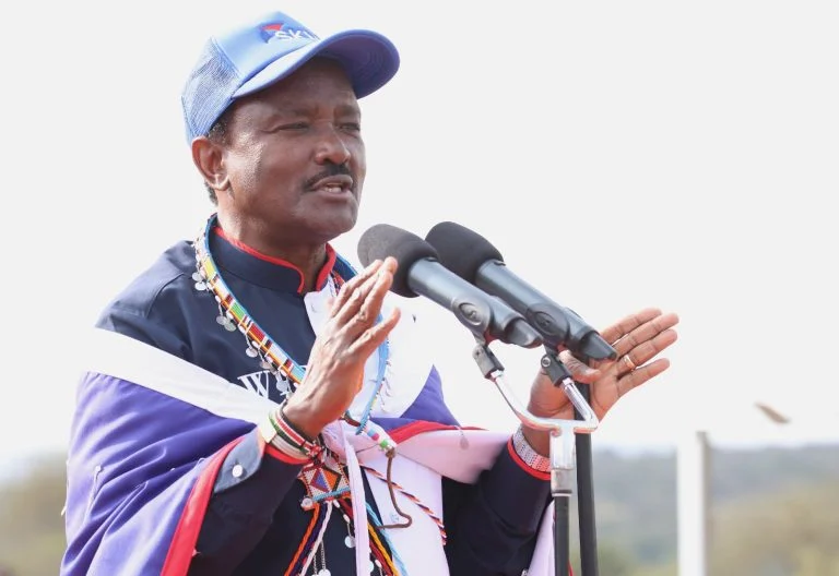 Jipe land row: Kalonzo promises legal action