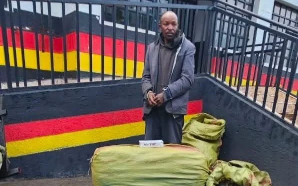 Suspected drug trafficker arrested in Molo, cannabis worth Sh1 million recovered