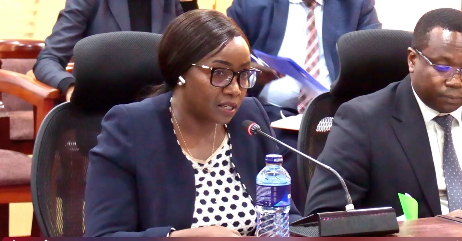 REREC Chief Executive Officer Dr. Rose Mkalama appears before the Senate Energy committee in parliament on 4th August, 2026. PHOTO/DAVID BOGONKO NYOKANG’I
