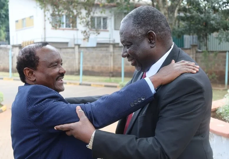 Kalonzo pushes for return of Kenyan tea to Sudanese market