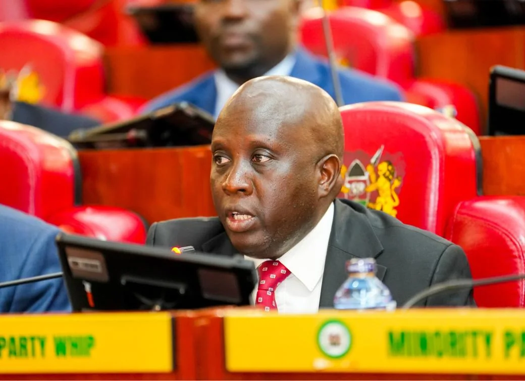 ICT PS Tanui: Kenya should adopt the best AI globally