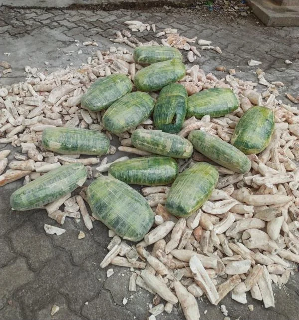 DCI arrests three suspected drug traffickers in Homa Bay, Nairobi and Mombasa