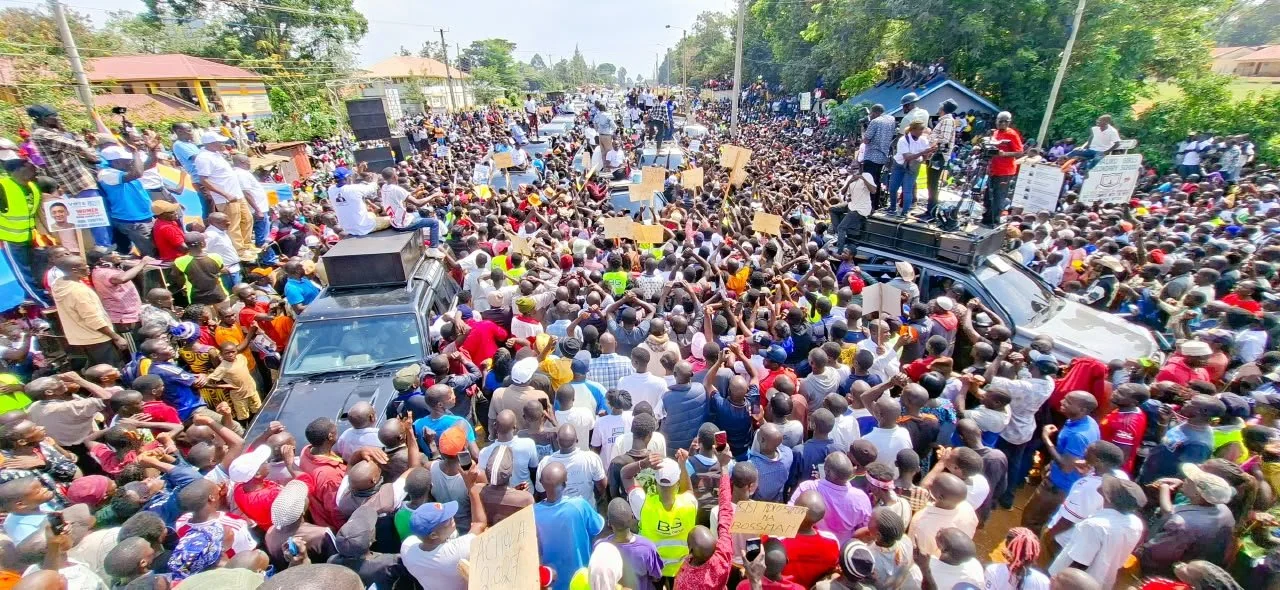 Linda Mwananchi threatens daily protests over party registration delay