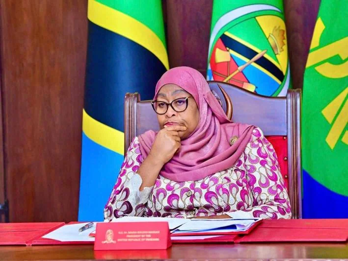 President Samia forms new team to unmask those behind Tanzania election violence