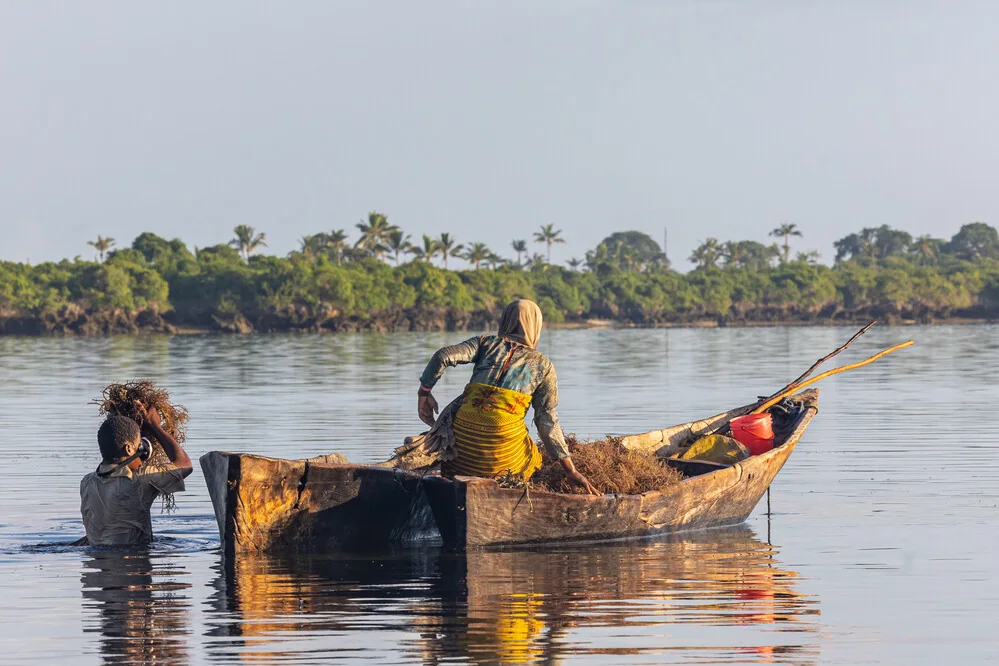 IFAD highlights fisheries sector’s economic potential