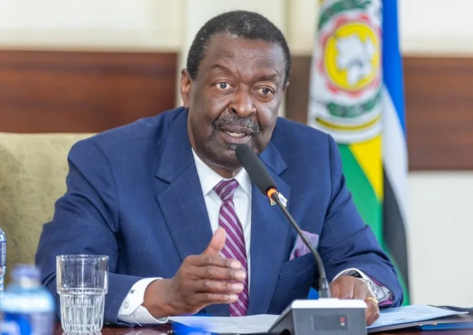 Mudavadi: Foreigners free to trade in Kenya, but must follow the law