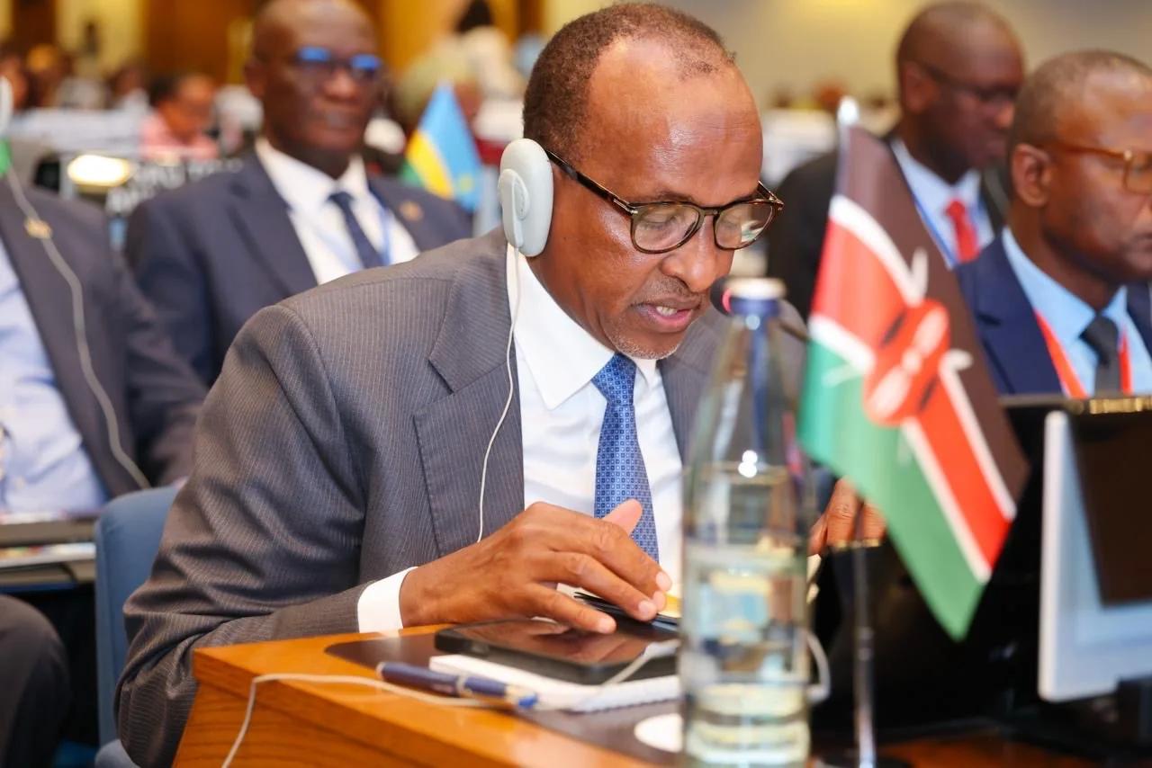 Duale: Africa must take charge of its health data