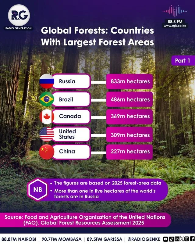 Global Forests: Countries With Largest Forest Areas