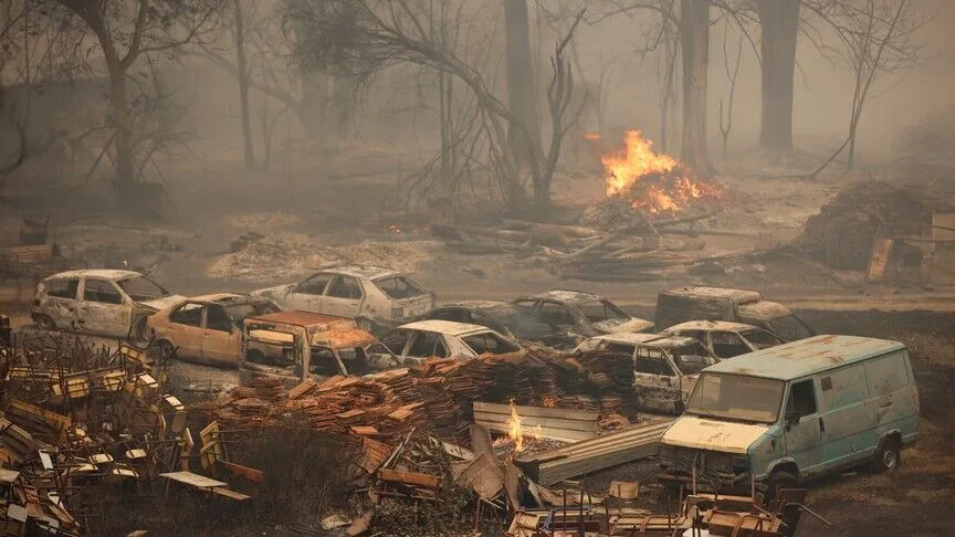 Algeria president seeks death penalty for arsonists after deadly forest fires