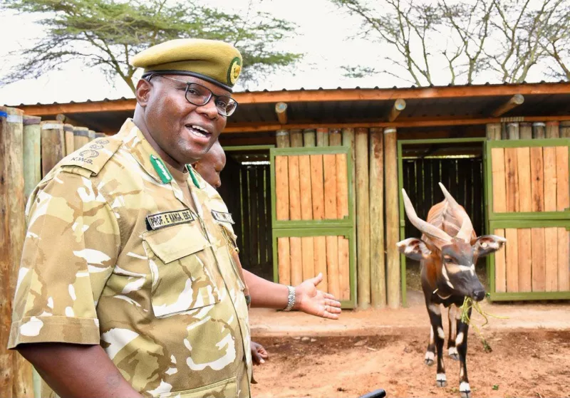 Kenya unveils five-year plan to save Mountain Bongo from extinction