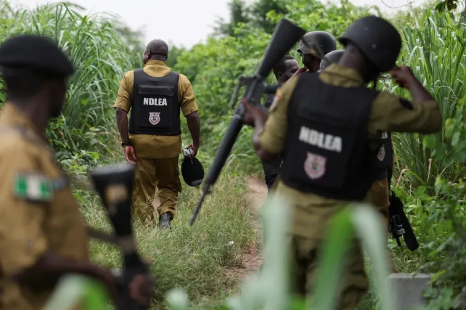 10 killed, 40 abducted in deadly northwest Nigeria raid