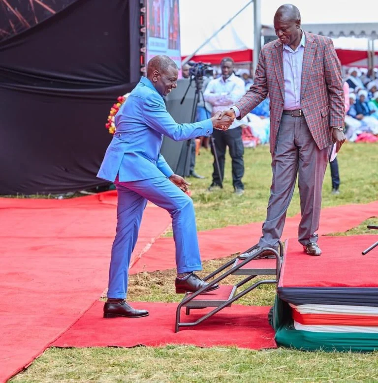 Sicily Kariuki: Ruto-Gachagua alliance was never built to last