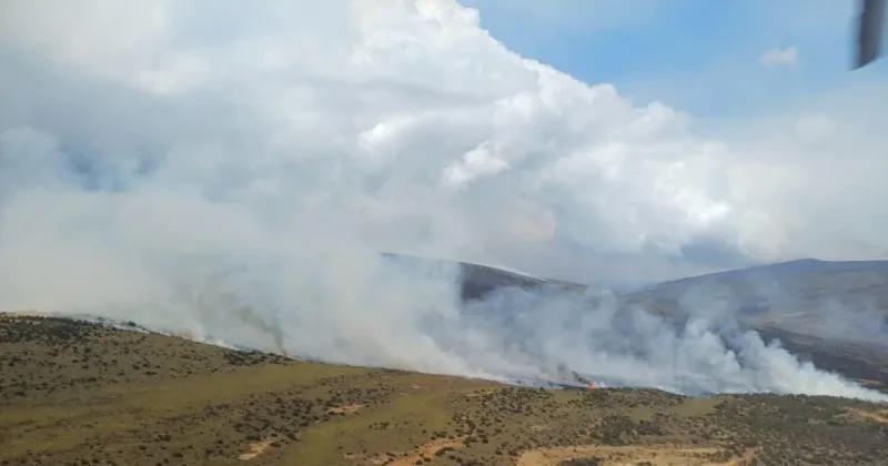 Mt Kenya wildfire nearly contained after burning 21,500 acres