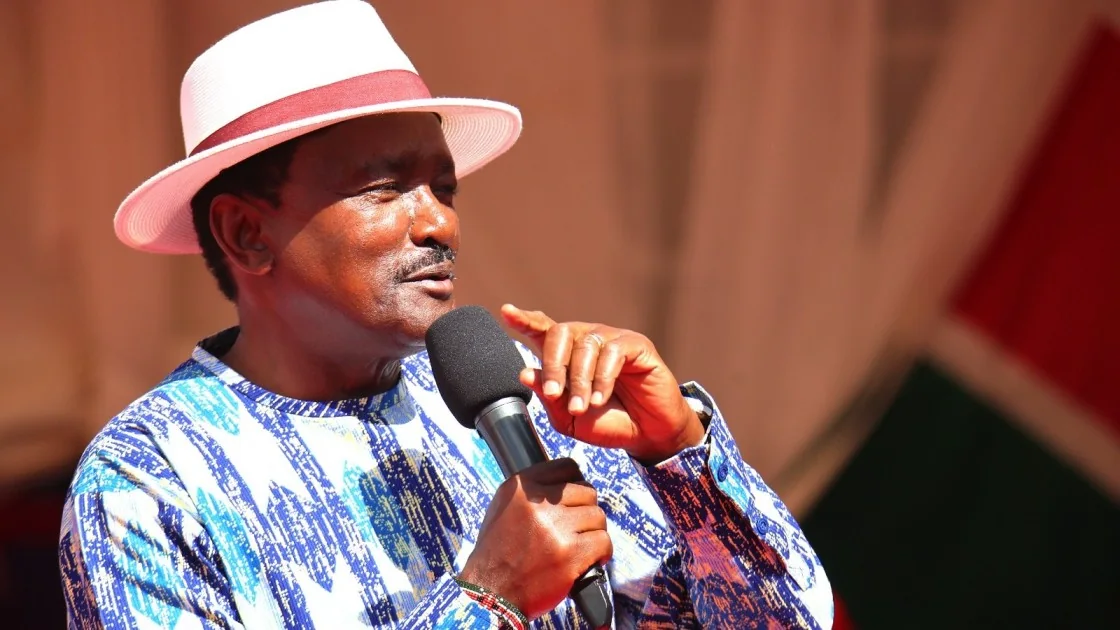 Kalonzo: State's crackdown on foreign traders not governance