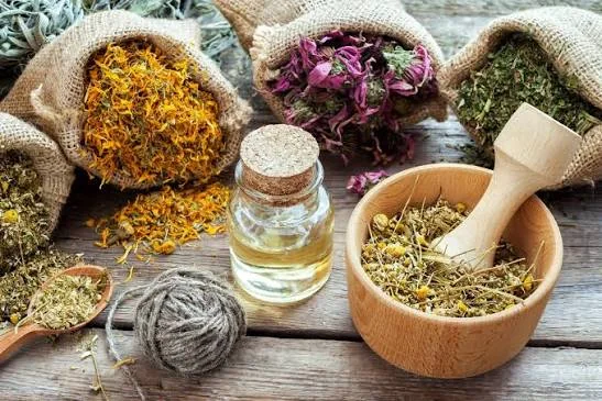 Herbal medicines face tougher safety checks in Kenya