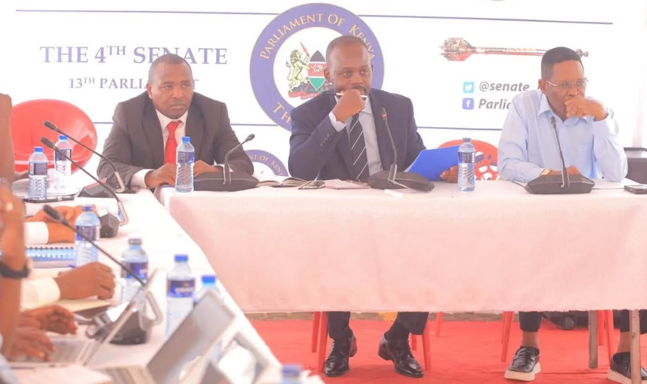 Kilifi suppliers on brink as county’s Sh10.7bn debt sparks Senate scrutiny