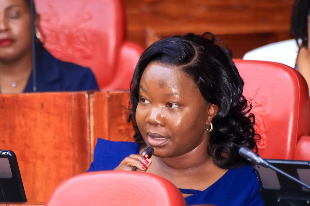 Private schools seek changes to Basic Education Bill over registration powers