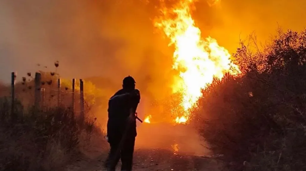 Deadly wildfires push Algeria to impose death penalty for arson