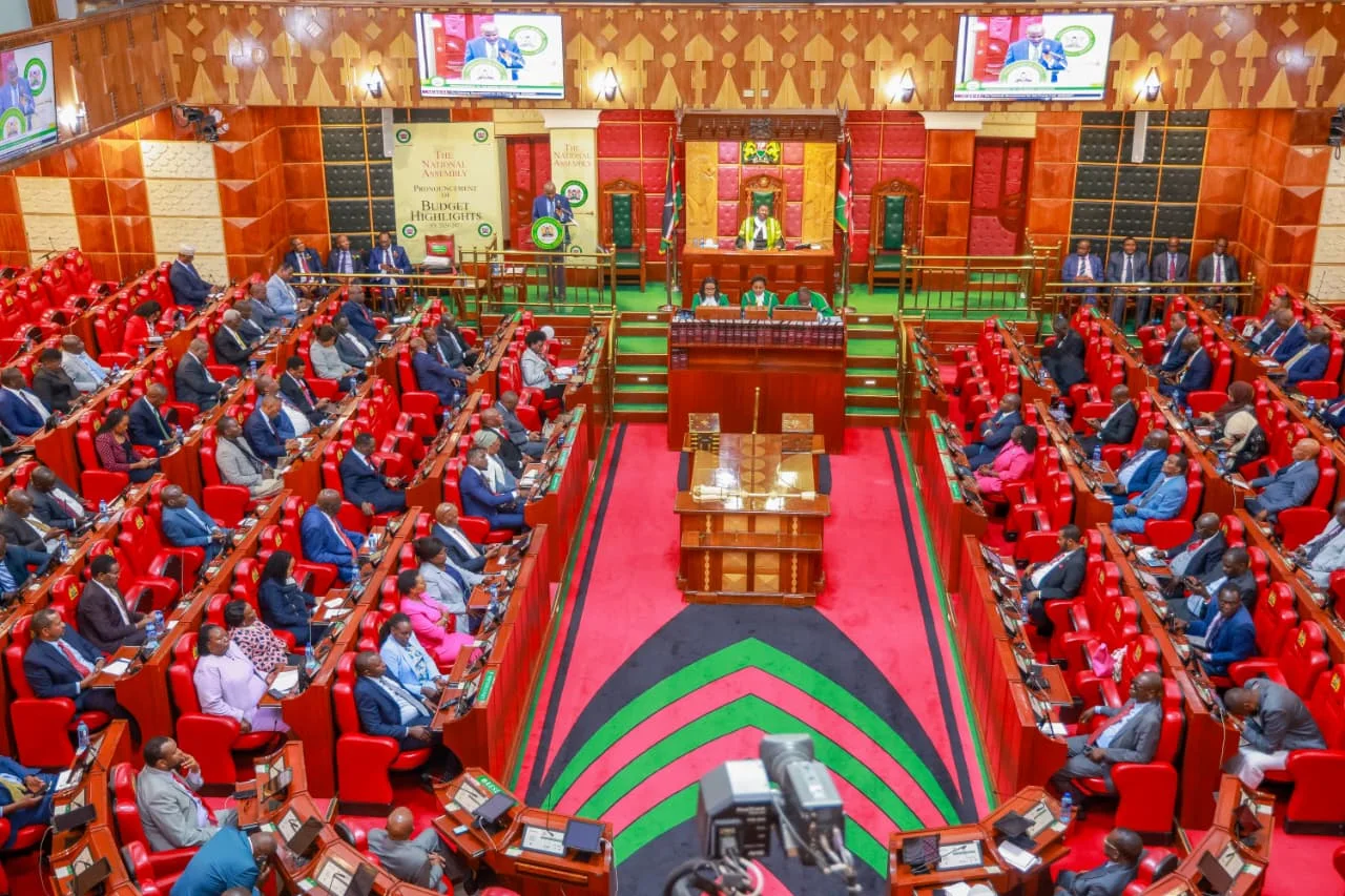 MPs divided over 1,000-voter limit as election law changes face scrutiny