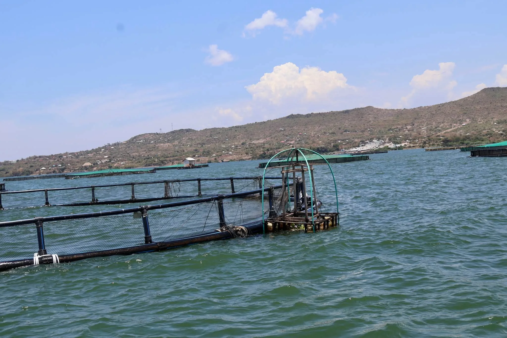 Senate committee probes fish cage operations in Homa Bay County
