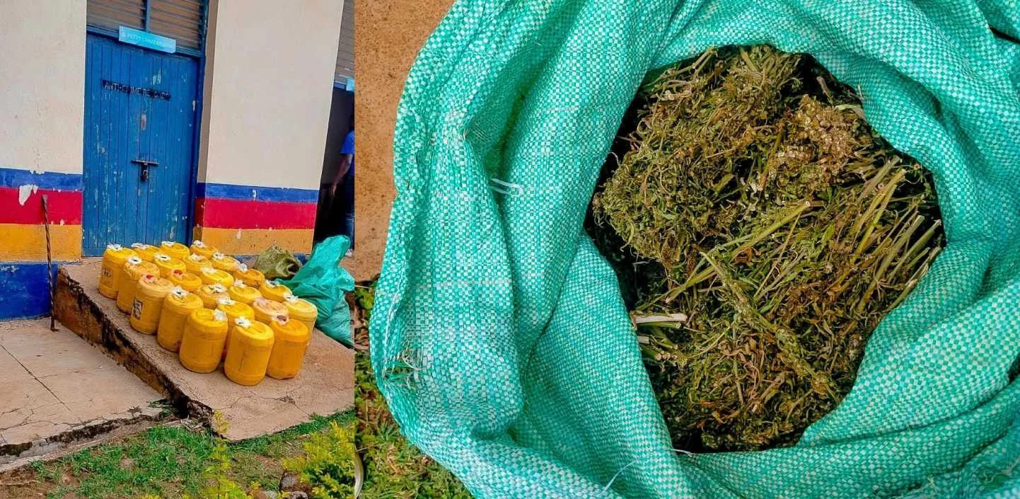 Police recover suspected bhang and 22 jerricans of chang'aa in Vihiga