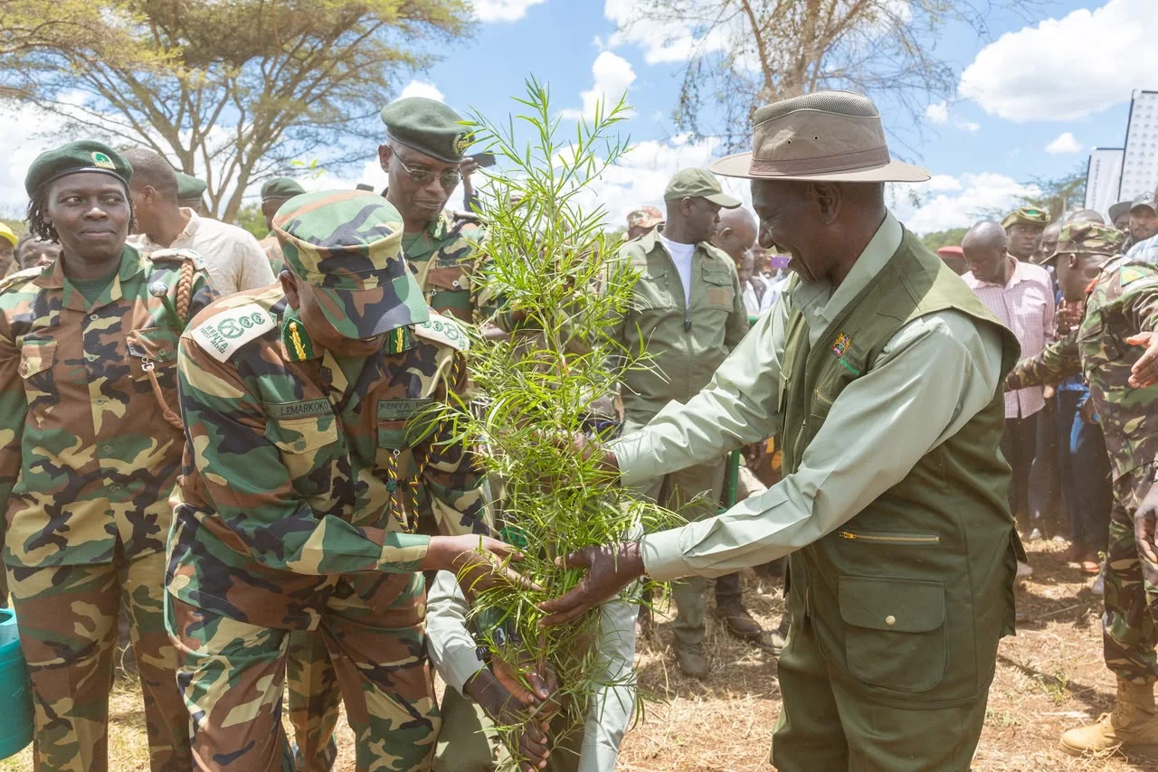 President William Ruto holding a seedling in Endebess, Trans Nzoia, marking Mazingira Day on October 10, 2026.