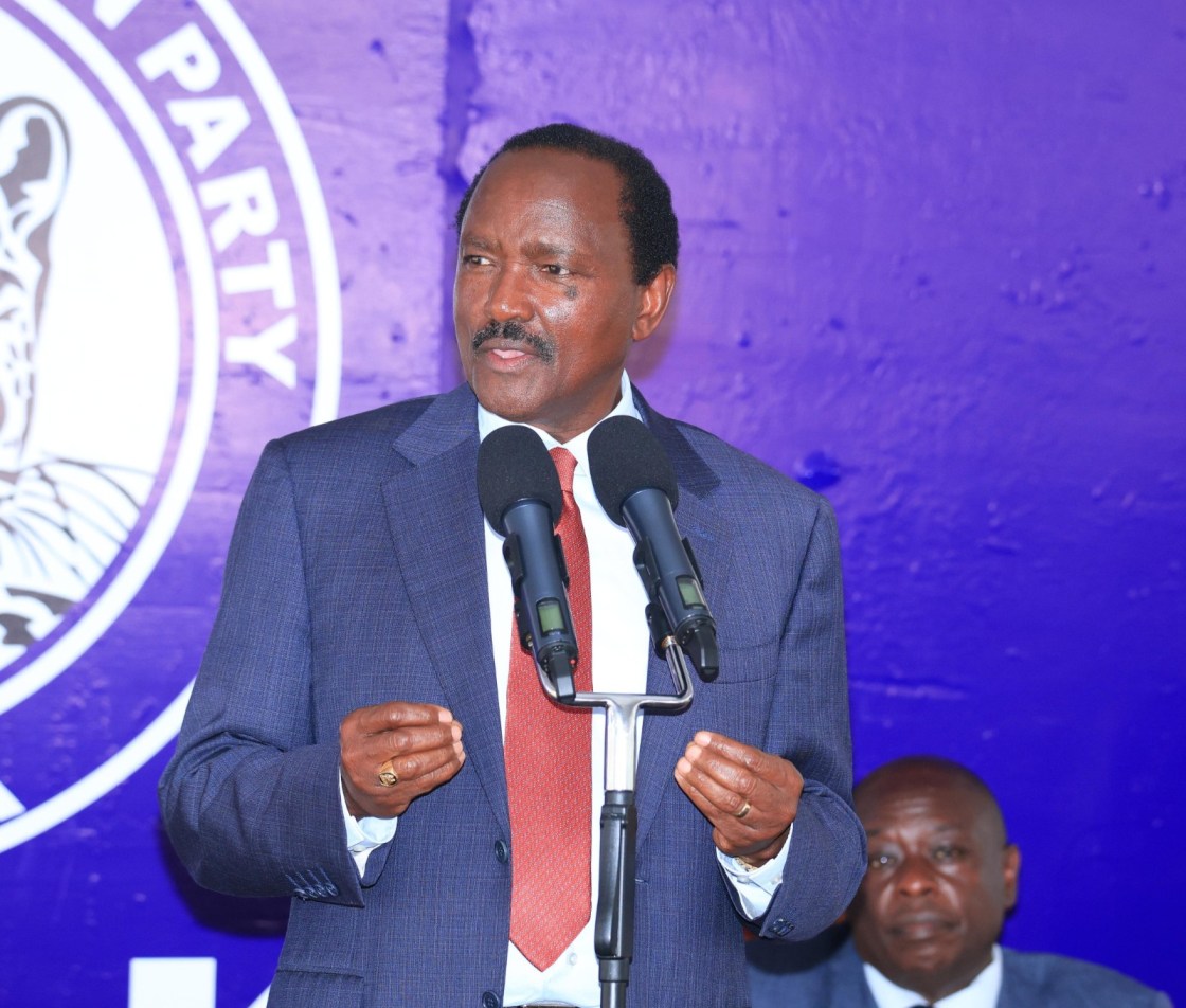 Kalonzo denies claims he met President Ruto