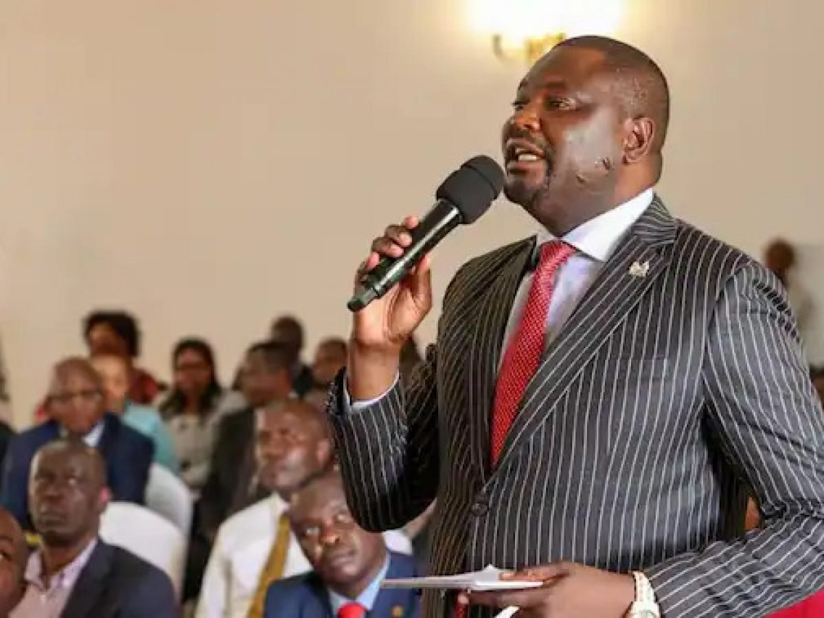 Mbeere North MP Geoffrey Ruku. PHOTO/Online