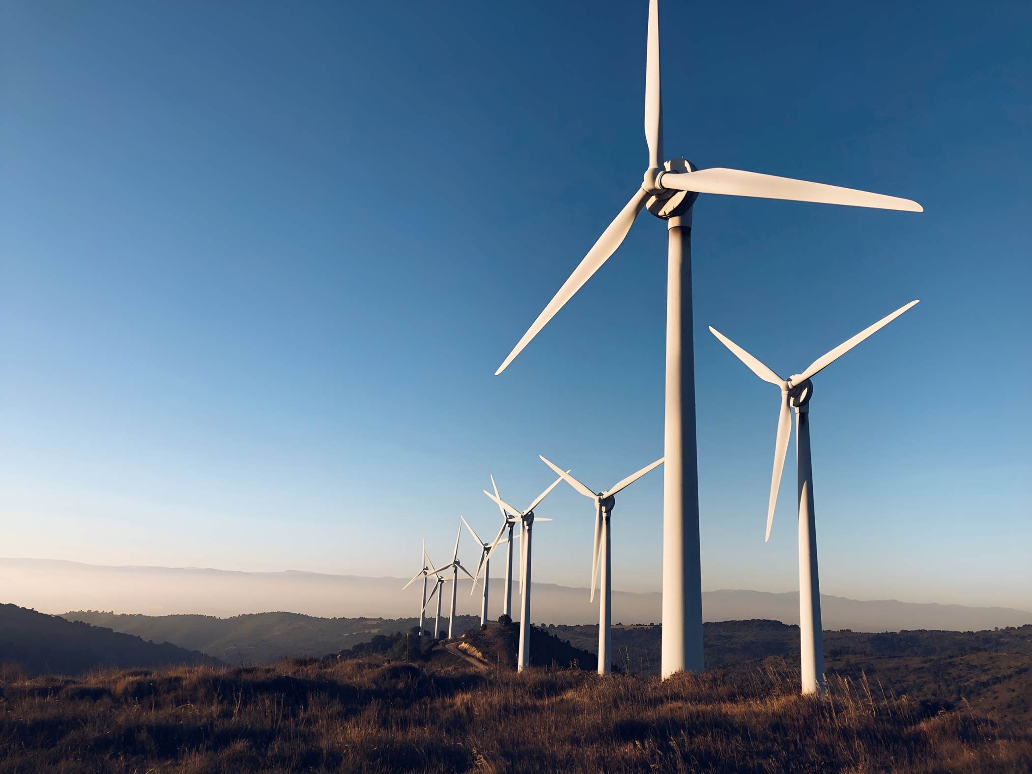 New bill seeks to disclose owners of independent power production firms