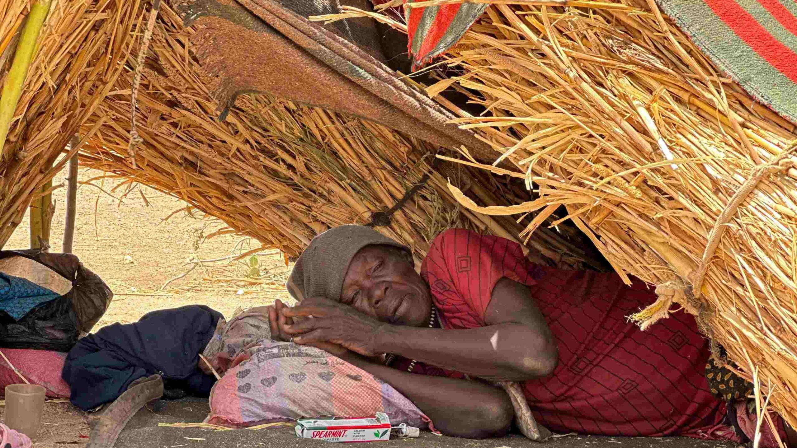 Charcoal for dinner: Sudan’s displaced fight to stay alive