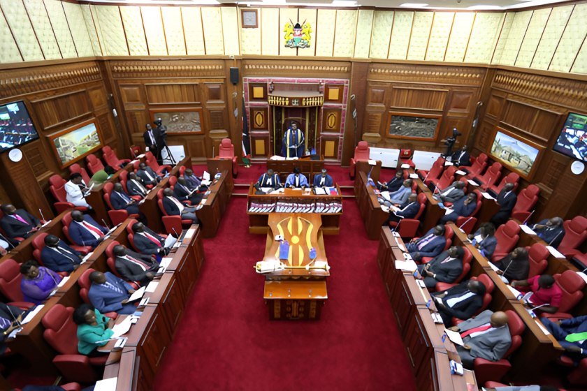 Senate faults MPs over IEBC law delay