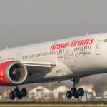 Kenya Airways flight in Cape Town grounded after bird strike
