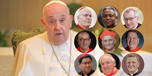 From Africa to Europe: Top contenders for the Papacy