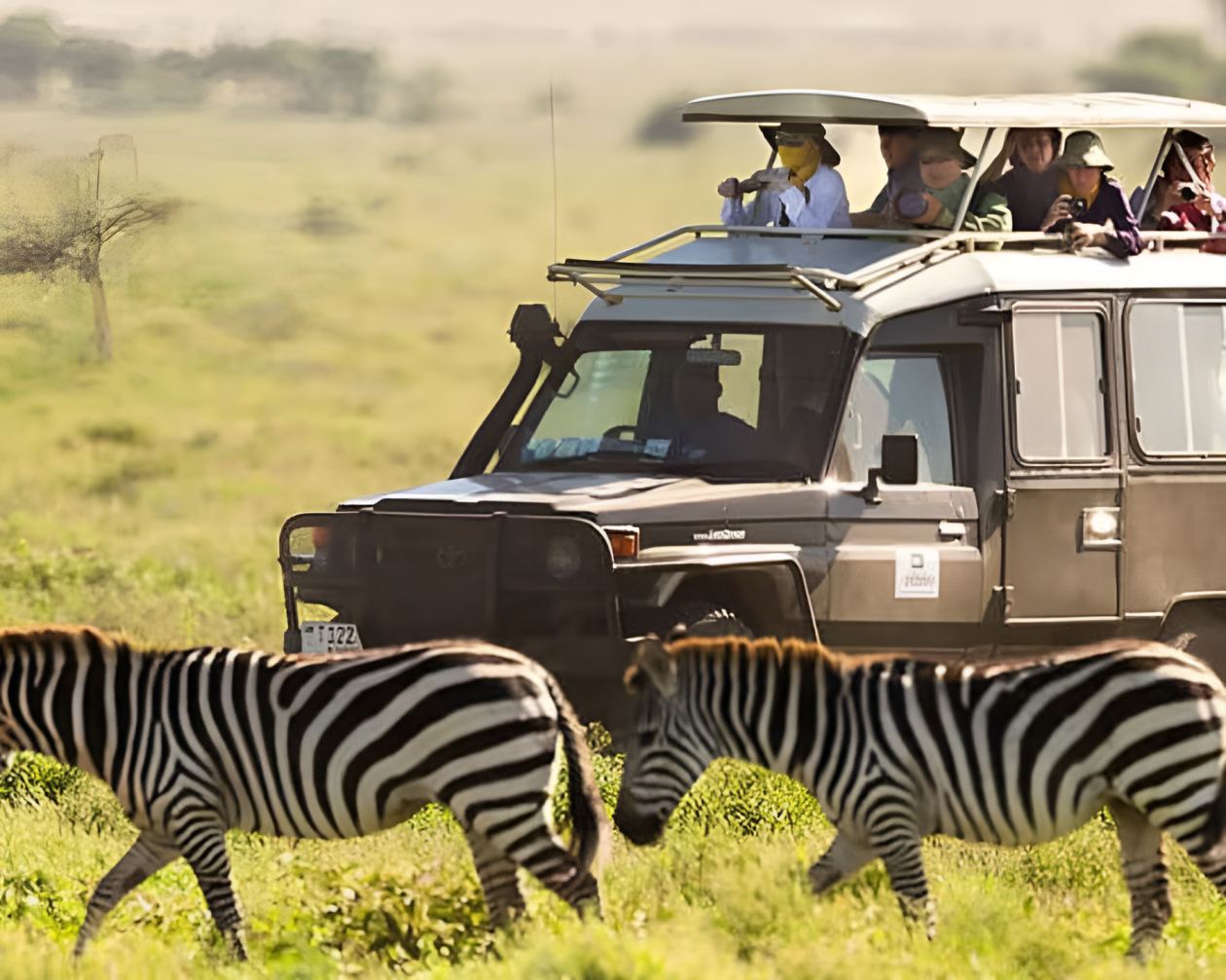 Kenya tourism recovers as top 5 parks attract over 1.7 million visitors in 2024