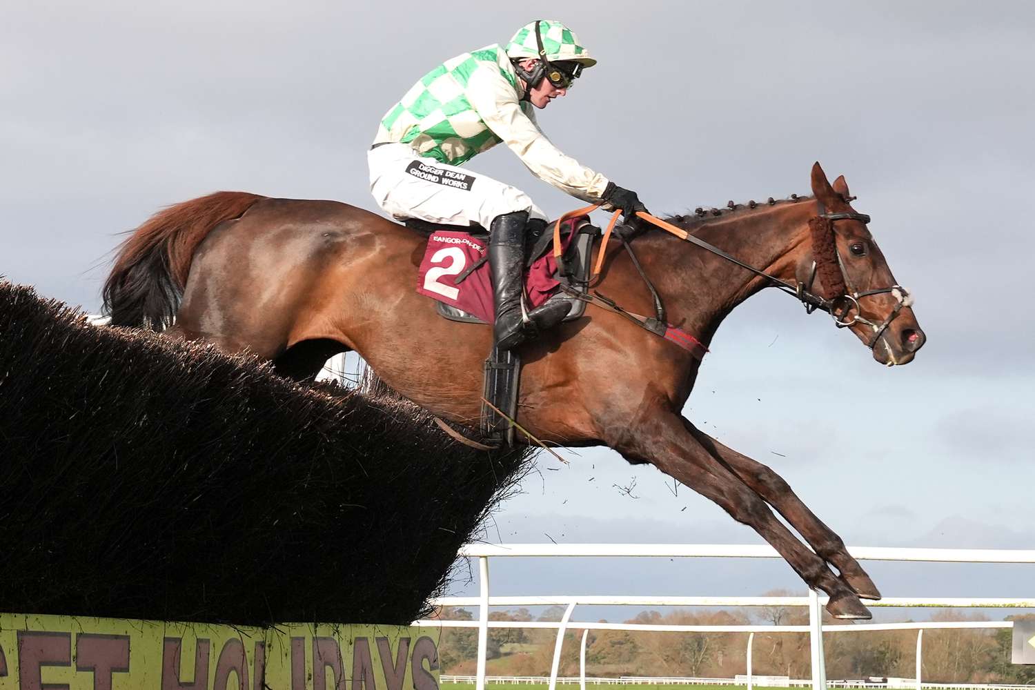 Jockey suspended as Horse collapses and dies during Grand National Race
