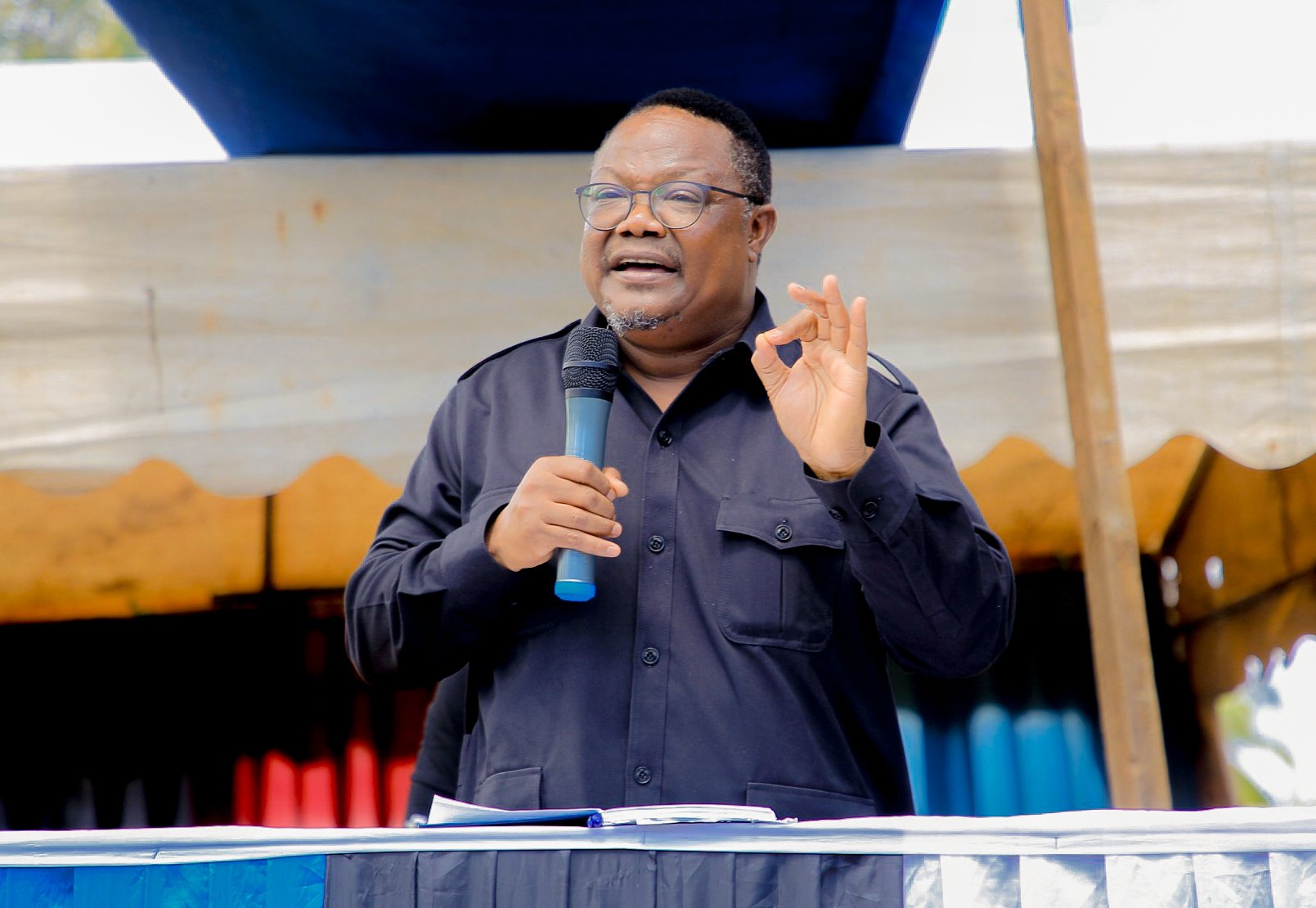 UN calls for immediate release of Tundu Lissu