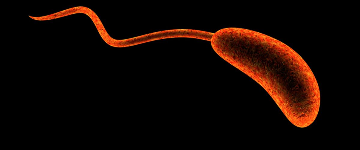 Be on alert over cholera outbreak, Kenyans told