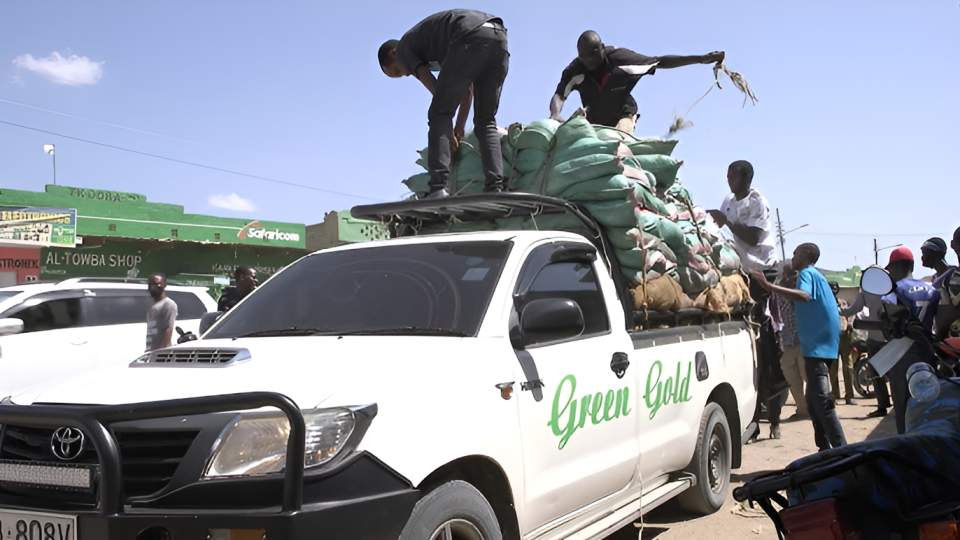MPs alarmed by rising miraa-related road crashes